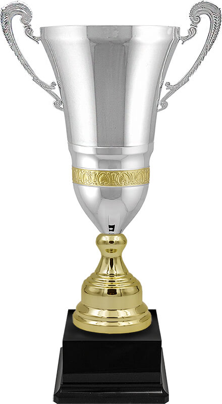 Кубок Вебстер