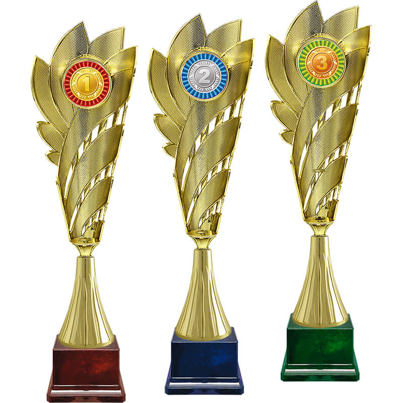 Кубок Лолла 1 место