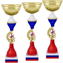 Кубок Нельсон 3 место Кубок Нельсон 3 место