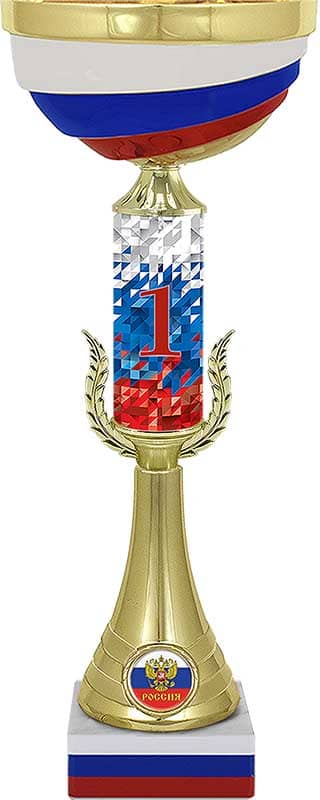 Кубок Мэтр 1 место Кубок Мэтр 1 место