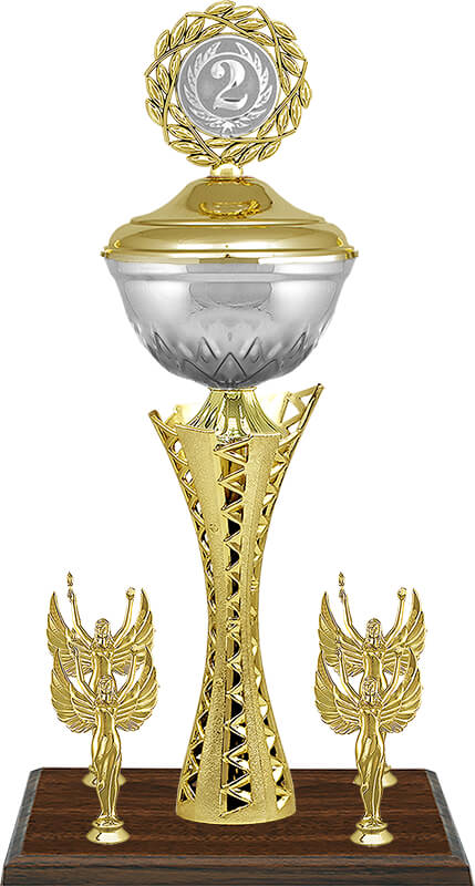 Кубок Хилтон 2 место