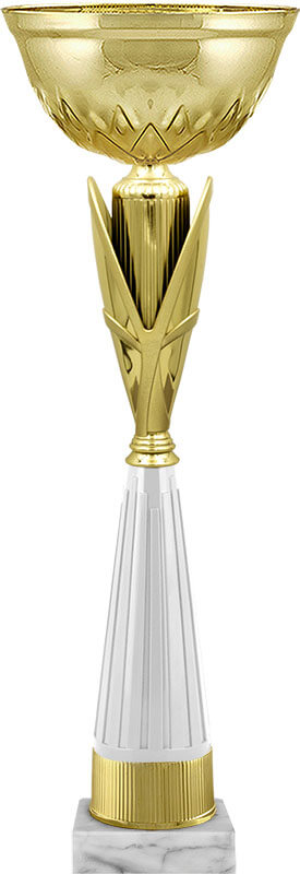 Кубок Асель Кубок Асель