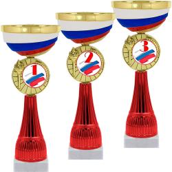 Кубок Чапай 3 место (красный) Кубок Чапай 3 место (красный)