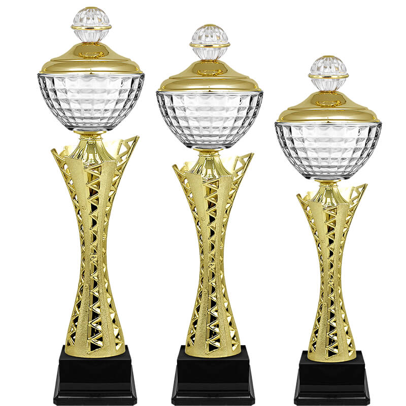 Кубок Карина