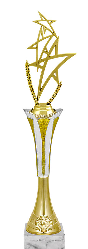 Награда Звезды Награда Звезды