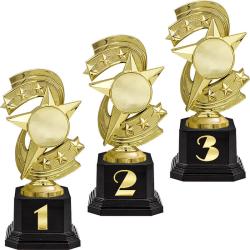 Награда 3 место