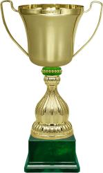 Кубок Миклухо