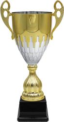 Кубок Флинт