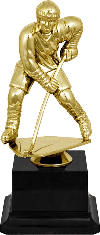 Награда Хоккей