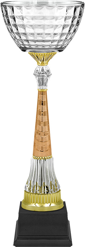 Кубок Катарина (под бронзу)