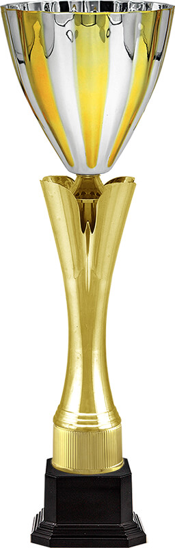 Кубок Фьюджи