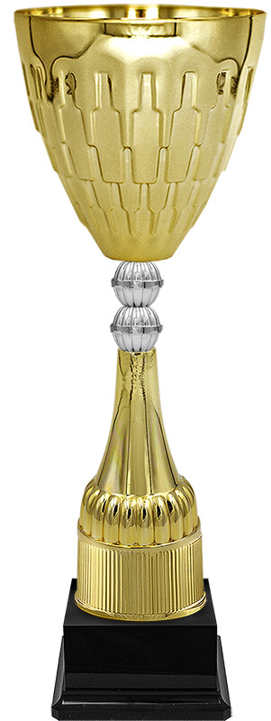 Кубок Хьюго