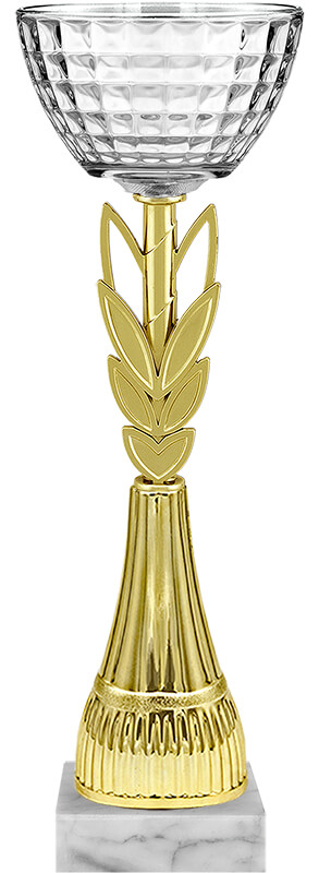 Кубок Октава