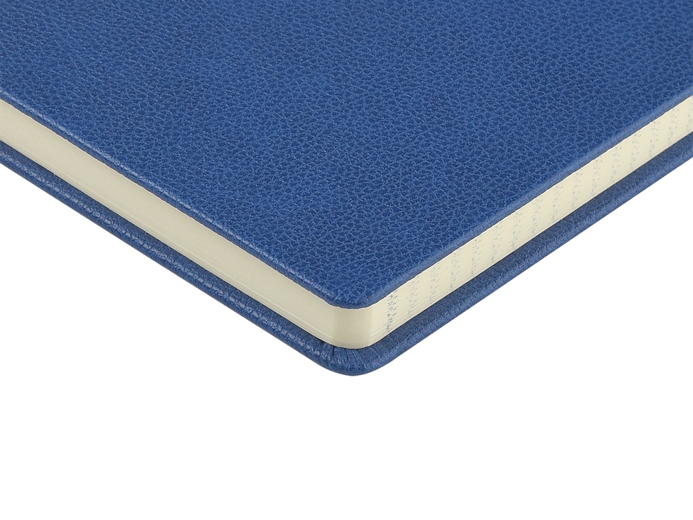 Ежедневник А5 датированный Megapolis Loft на 2026, синий