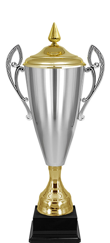 Кубок Владияр