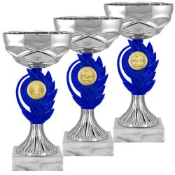 Кубок 3 место