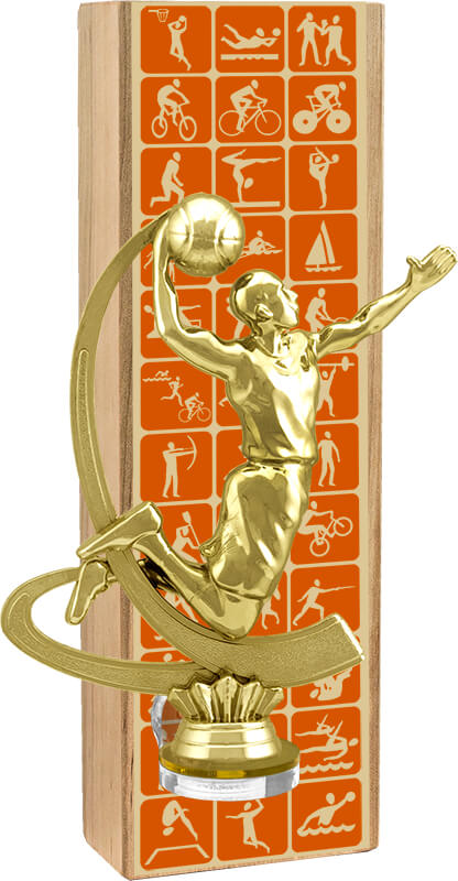 Награда баскетбол