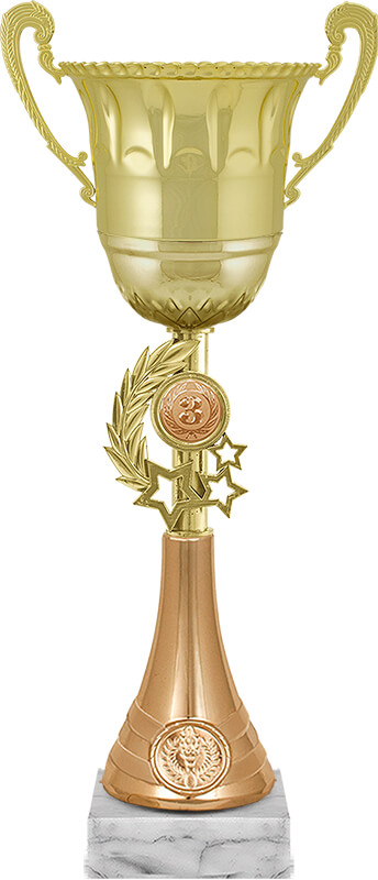 Кубок Ойла 3 место Кубок Ойла 3 место