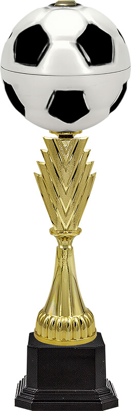 Кубок Свен (футбол)