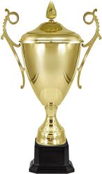 Кубок Варлен