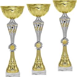 Кубок 3 место