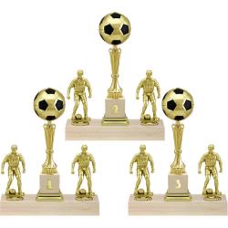 Кубок Роберто 3 место