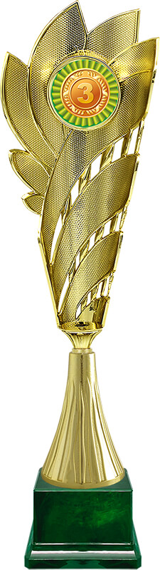 Кубок Лолла 3 место