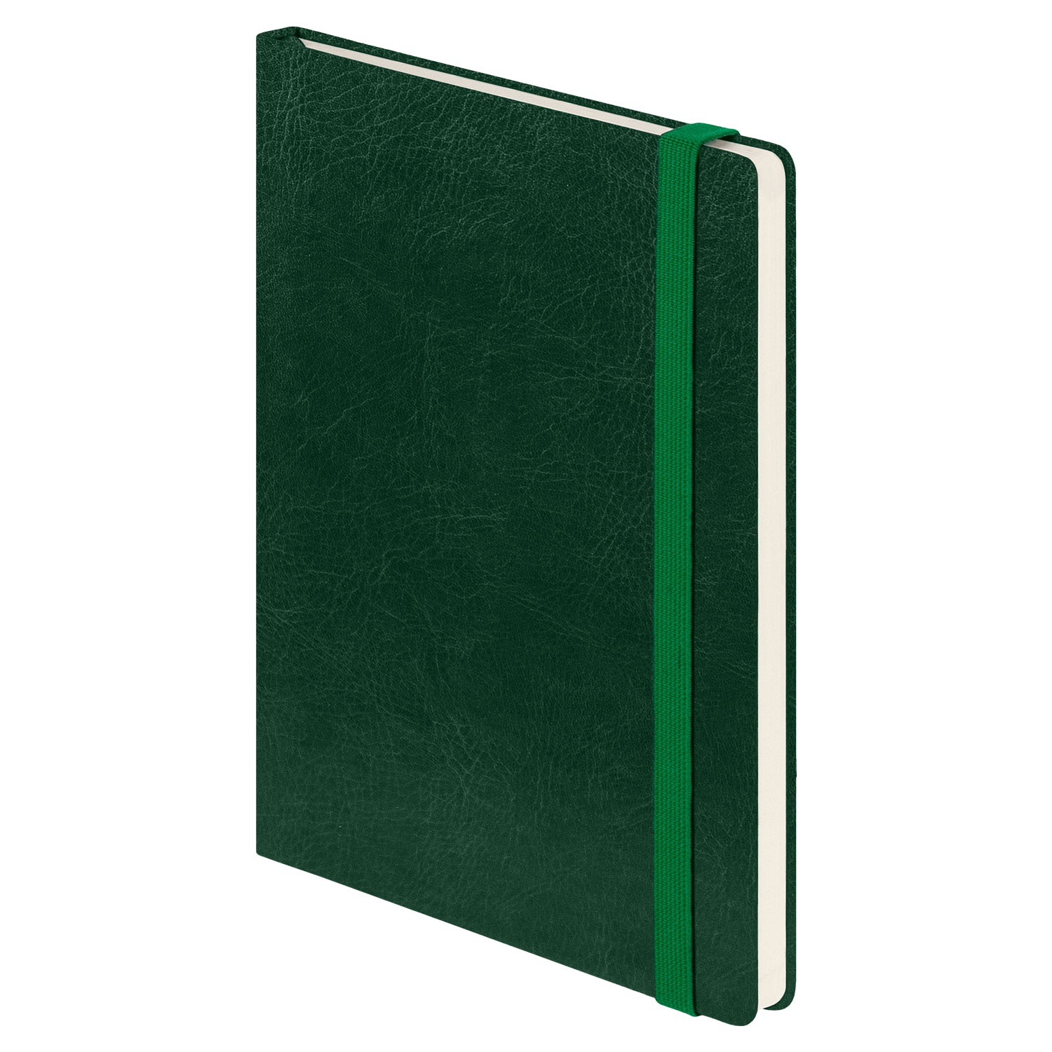 Ежедневник Voyage BtoBook недатированный, зеленый (без упаковки, без стикера)