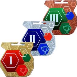 Медаль Архимед III место