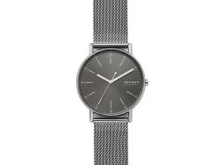 Часы наручные, мужские. Skagen