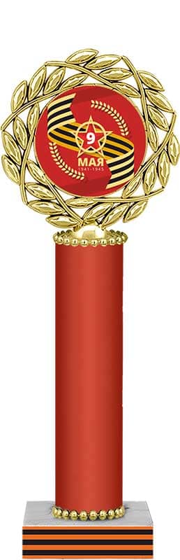 Награда 9 Мая