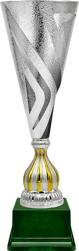 Кубок Ненси