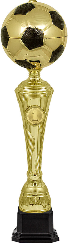 Кубок Фабиан 1 место