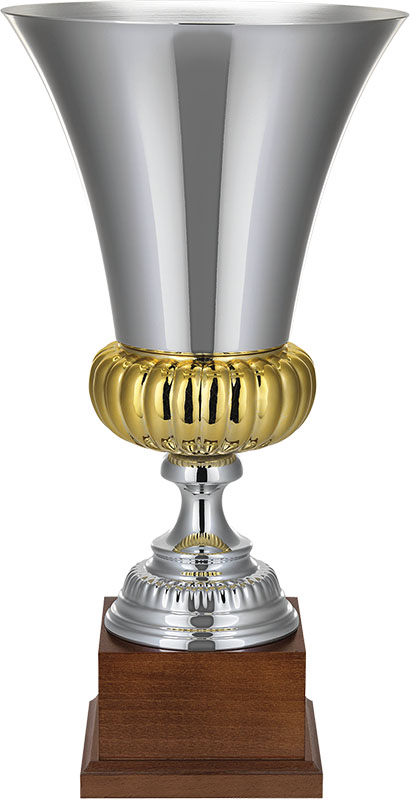 Кубок Эрфурт