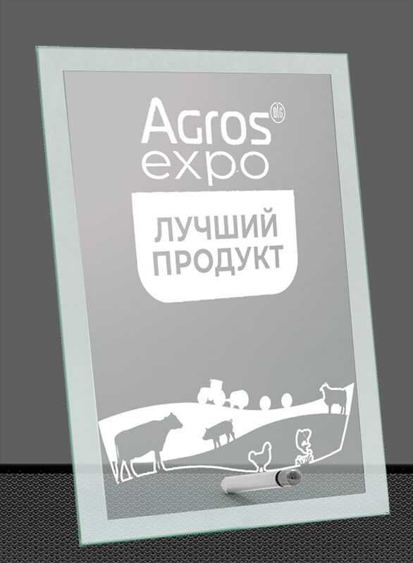 Награда из стекла с гравировкой Награда из стекла с гравировкой