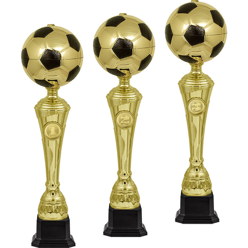 Кубок Фабиан 1 место