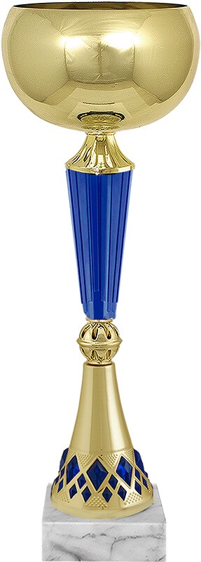 Кубок Шарко Кубок Шарко