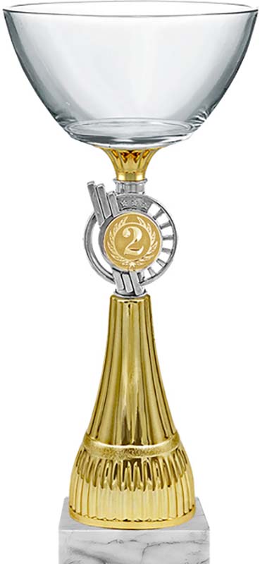 Кубок Фея 2 место