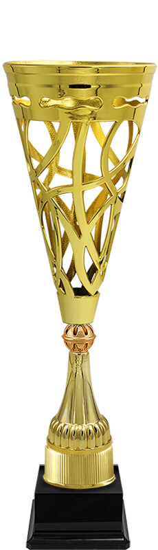 Кубок Бланид (под бронзу)