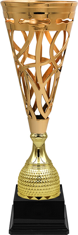 Кубок Викс (под бронзу)