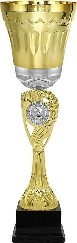 Кубок Эрнест 2 место