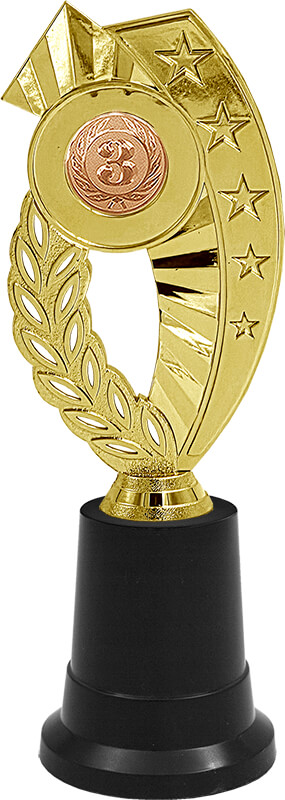 Награда 3 место