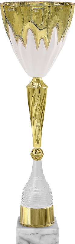 Кубок Аэлита Кубок Аэлита