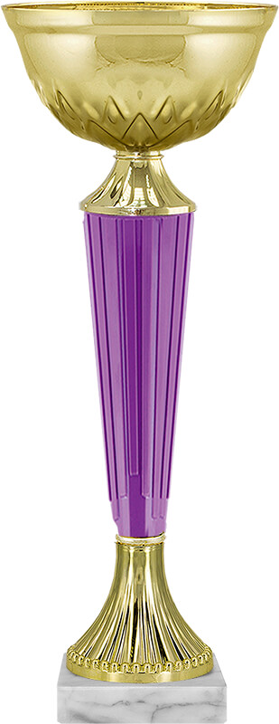 Кубок Камрон