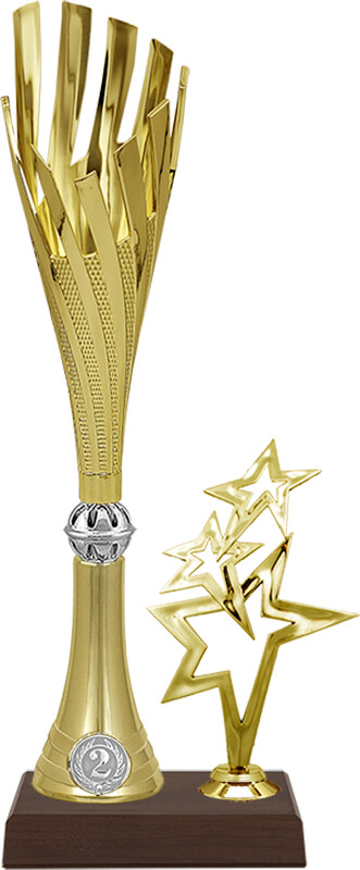 Кубок Энн 2 место