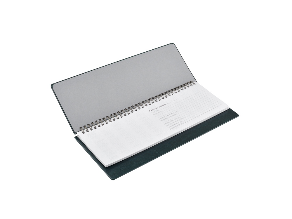 Планинг ГР. датированный Sidney Nebraska 2022, зеленый