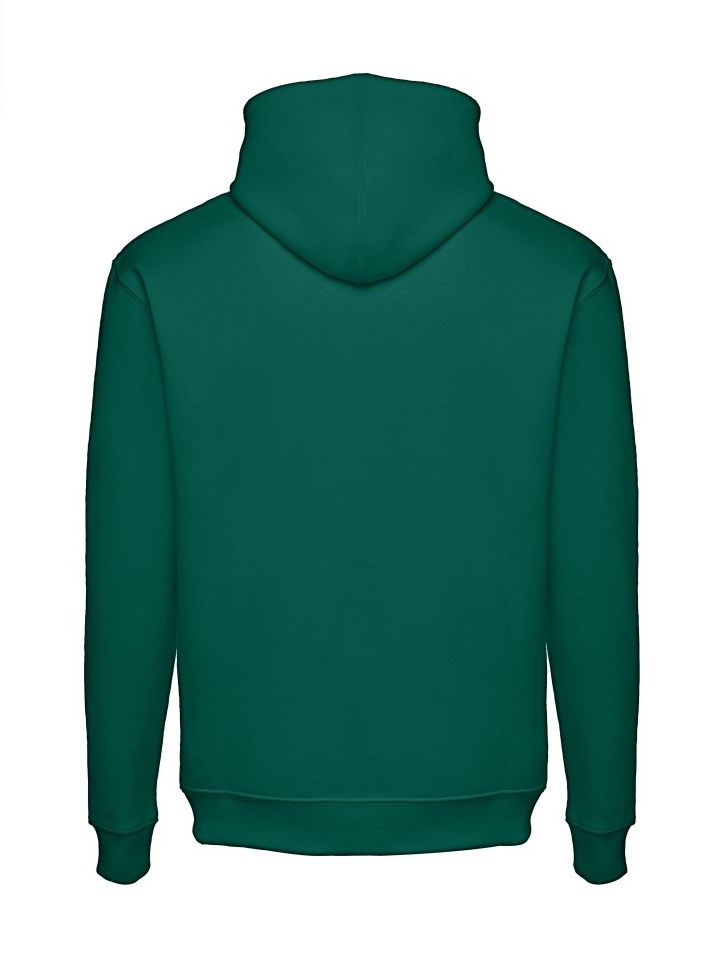 Толстовка с капюшоном унисекс PHOENIX 320