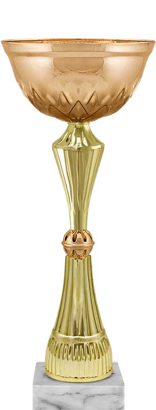 Кубок Сплин (под бронзу)