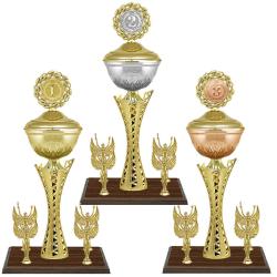 Кубок Хилтон 3 место