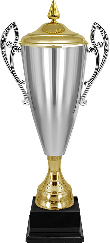 Кубок Владияр